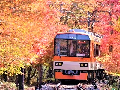 「もみじのトンネル」徐行運転＆ライトアップ