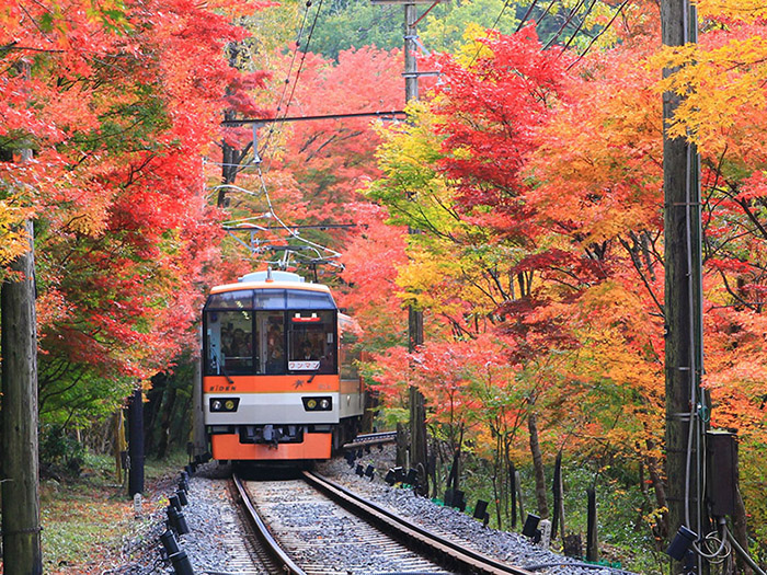 Both the reduced-speed operation of trains and the illumination in the “Maple Tunnel” section of the Eizan Railway
