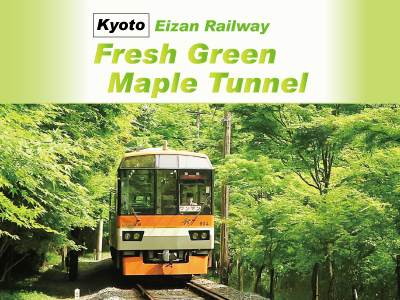 Slow Train Operation through Fresh Green Maple Tunnel