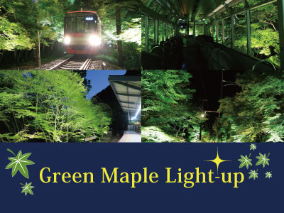 Green Maple Light-up