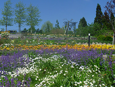 Garden Museum Hiei