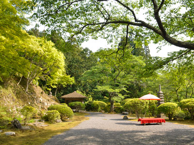 白龍園 春の特別観覧