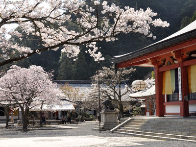鞍馬寺 花供養/花会式