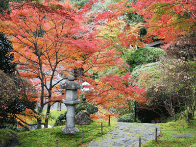 白龍園 秋の特別観覧
