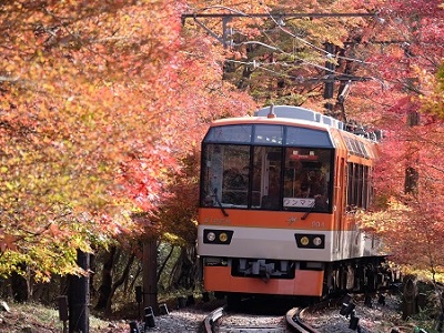 秋のもみじ列車