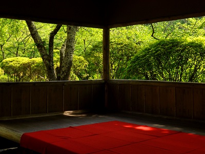 白龍園 春の特別観覧