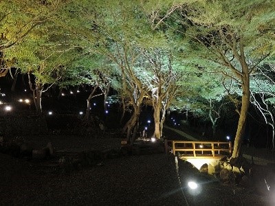京都洛北 八瀬もみじの小径ライトアップと瑠璃光院 夜の特別拝観