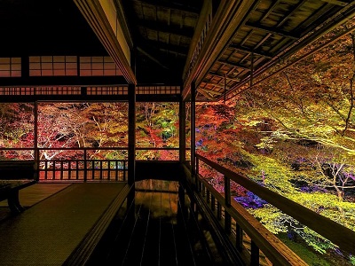 「京都洛北 八瀬のもみじ」瑠璃光院夜間特別拝観・八瀬もみじの小径ライトアップ
