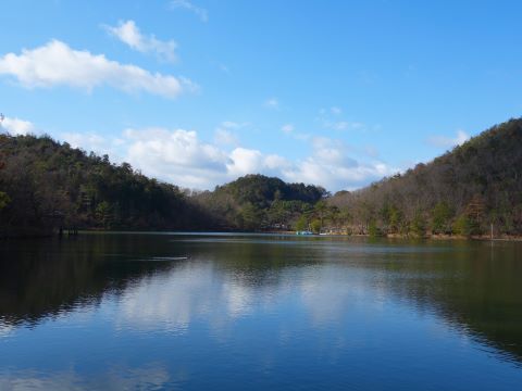 宝が池から都七福神（大黒天・福禄寿神）を訪ねる