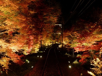 紅葉ライトアップ特別列車