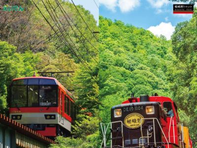 緑の京都へ。青もみじキャンペーン