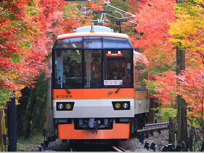 紅葉の徐行運転＆紅葉ライトアップ 2026
